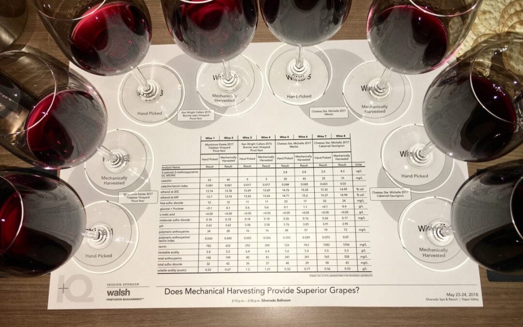 Fun with Wine Science…