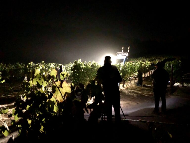 night shot 1 - Sonoma Harvest 2018 - Part 1 "The Night"