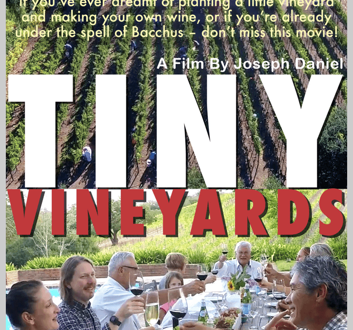 Announcing two new Sonoma cinematic events with music, food, and wine…