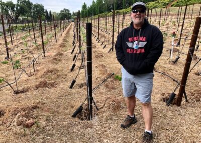 Keith Casale - Iconic Sebastiani vineyards returning to glory...