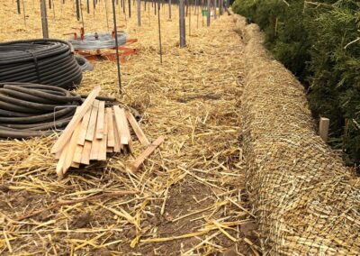 Straw wattles rotated 1 - Iconic Sebastiani vineyards returning to glory...
