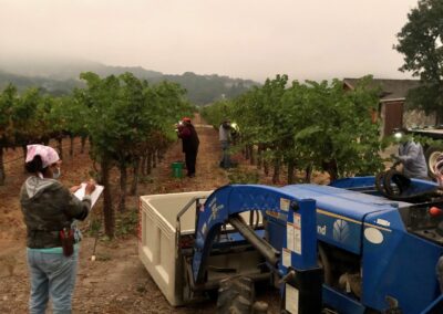 Logging picker bin counts - The smoky grape harvest of Sonoma 2020