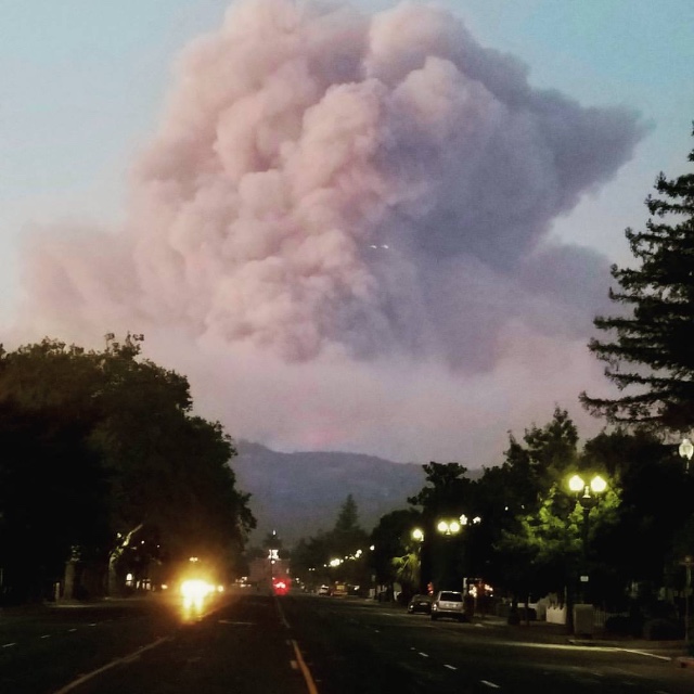 IMG 5790 - Sonoma Firestorm - Part 2 - Analysis, Recovery, Celebration