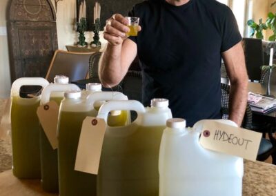 Olive Oil 2019 634x700 - A year-end wine country lifestyle photo journey