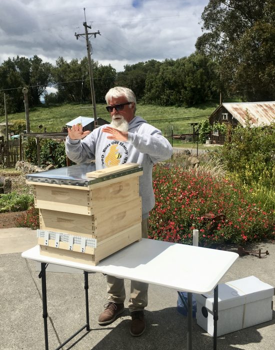 fullsizeoutput 3e49 - Sonoma "Bee Hive Dive" at Nick's Ranch