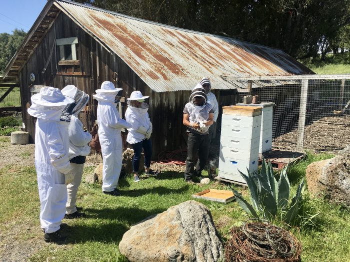 fullsizeoutput 3e58 - Sonoma "Bee Hive Dive" at Nick's Ranch