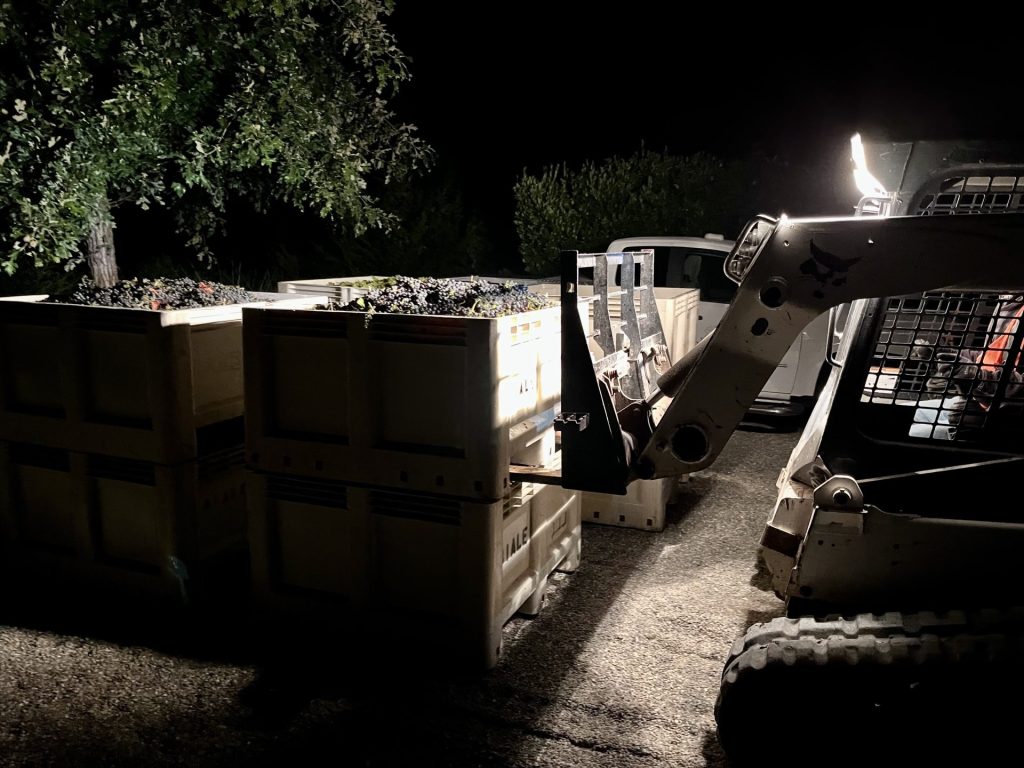 Fruit Loading 2 - 50 images of the Sonoma Valley Grape Harvest 2022