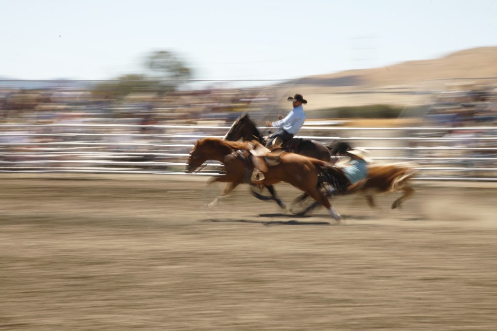 Rodeo - Summer in Sonoma - Farming, Summerfest, and Rodeo