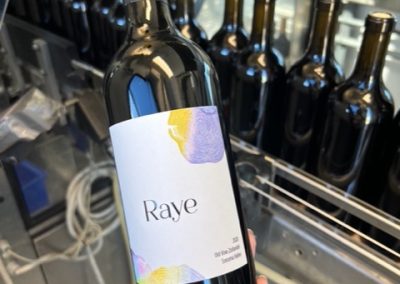 Raye - 50 images of the Sonoma Valley Grape Harvest 2022