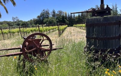 Projects and day trips from Hydeout Sonoma (Part 2)