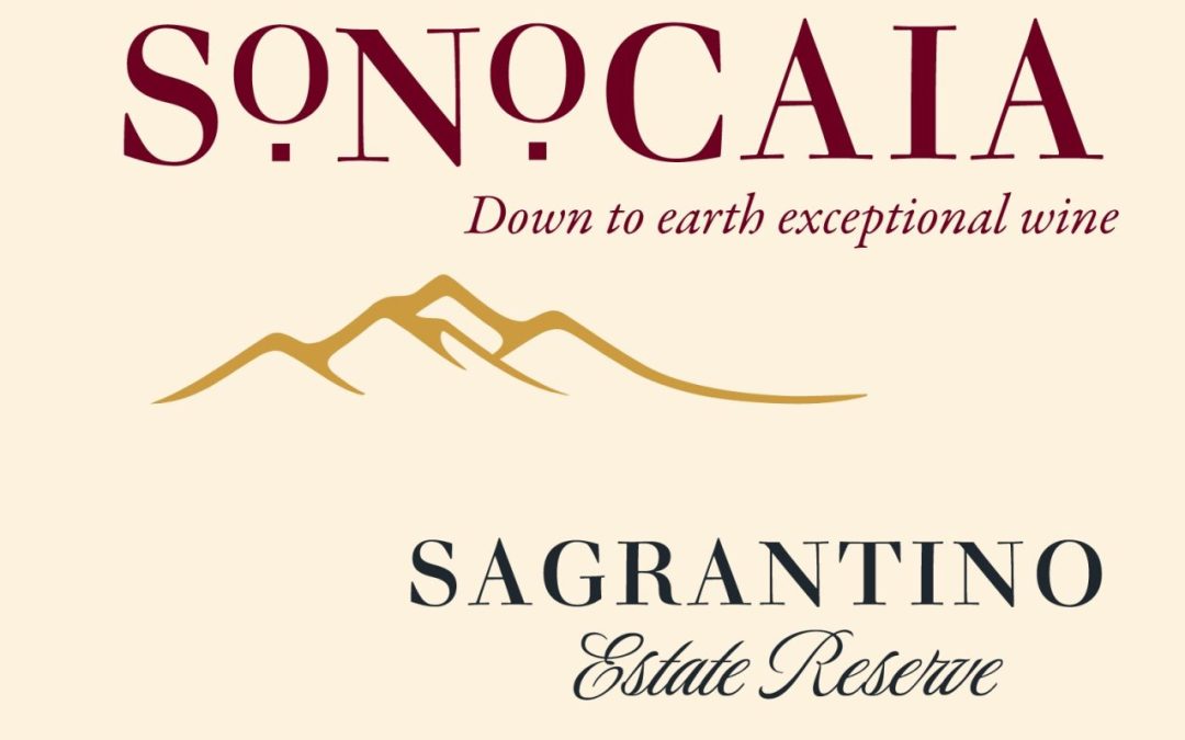 Uncorking 2025, and see you in spring 2026