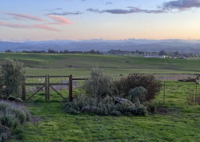 Clouds 2 - Sonoma, land of Sonocaia Sagrantino, and 1000 things to do and see
